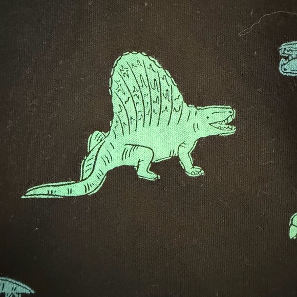 Cat & Jack Dinosaur Print Sweatshirt - Black, Red, Green - Picture 3 of 4